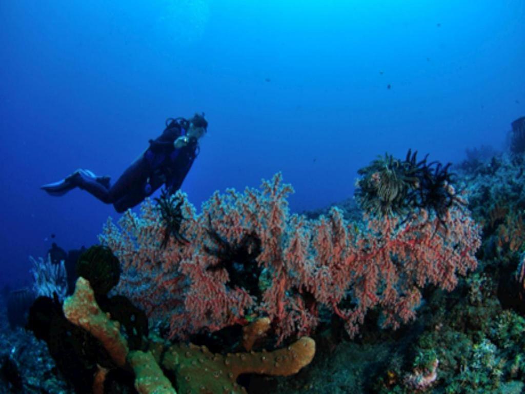 Tulamben Wreck Divers Resort Exterior foto