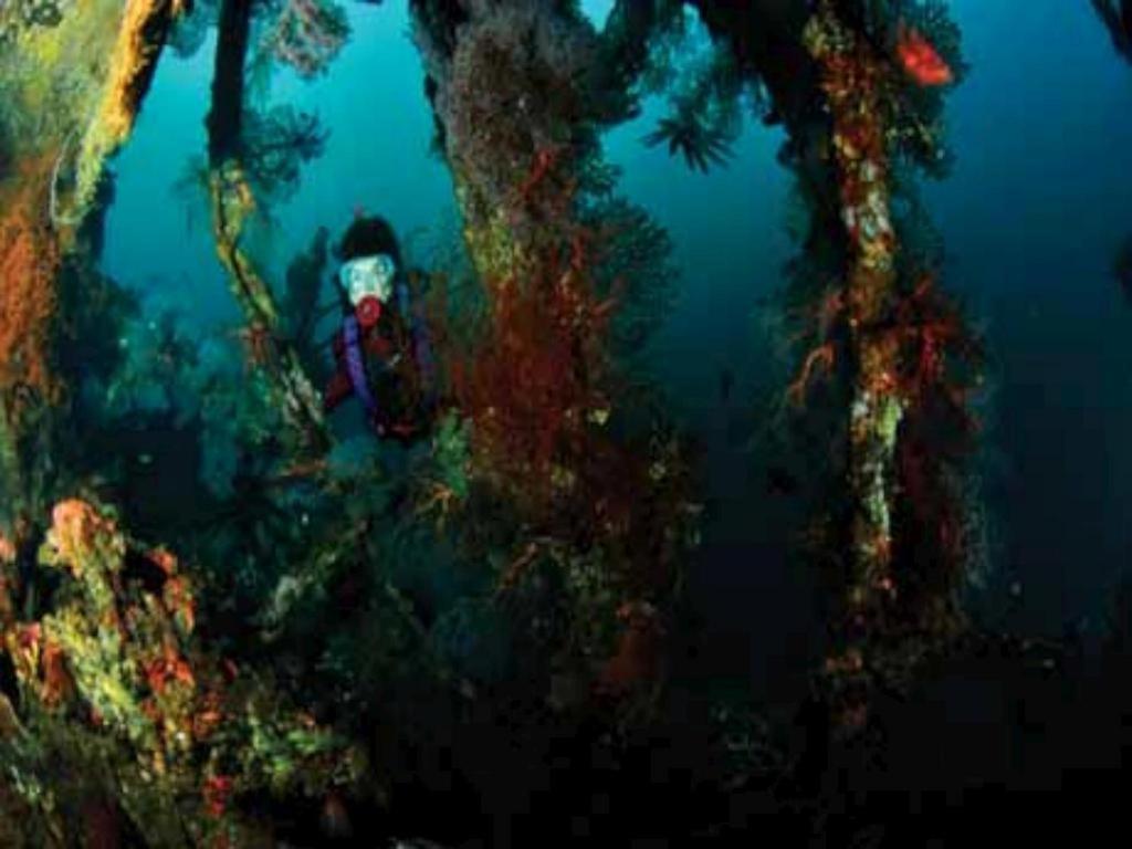 Tulamben Wreck Divers Resort Exterior foto