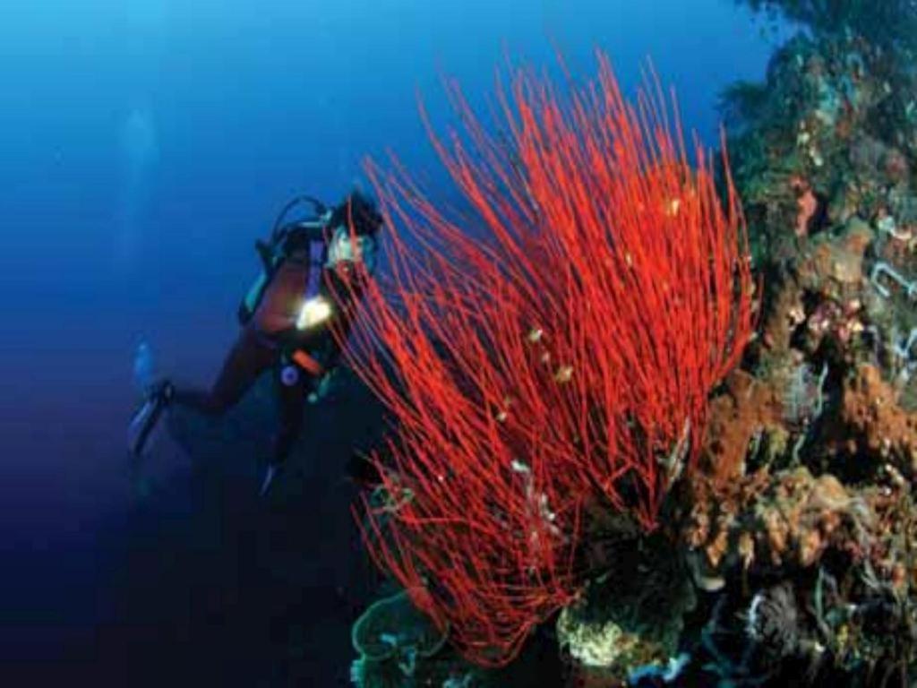 Tulamben Wreck Divers Resort Exterior foto